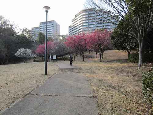 03北山田公園 (29).jpg