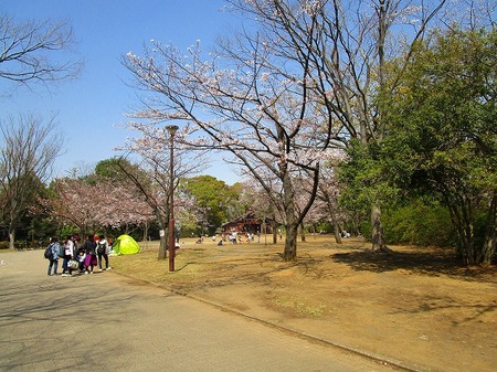 03綱島公園 (1).jpg