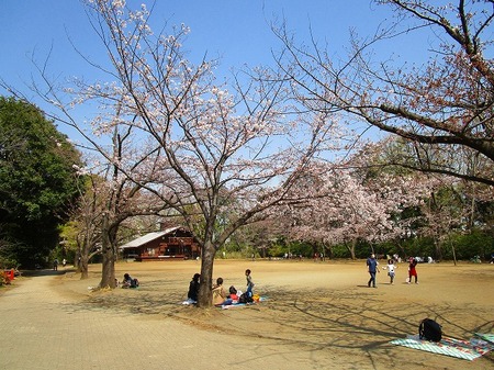 03綱島公園 (5).jpg